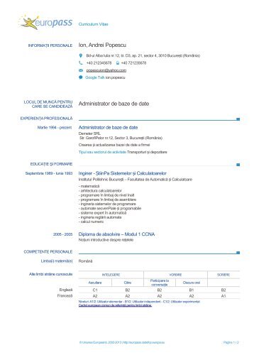 CV-Example-1-ro-RO