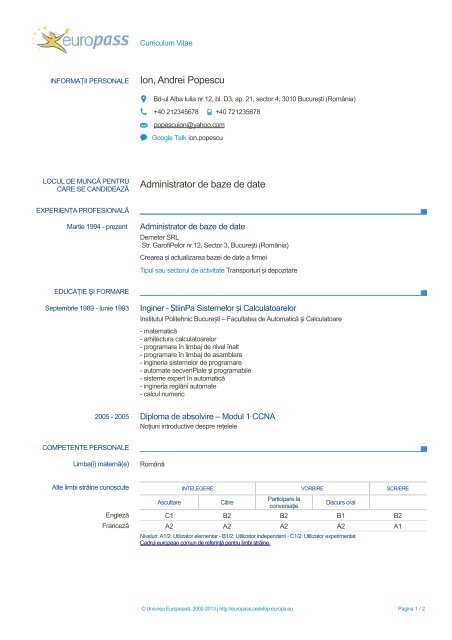 CV-Example-1-ro-RO