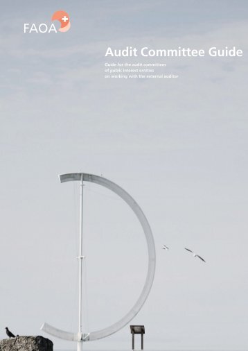 Audit Committee Guide (English)