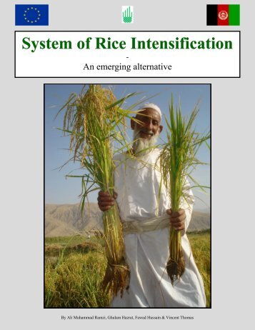 System of Rice Intensification - An Emerging Alternative