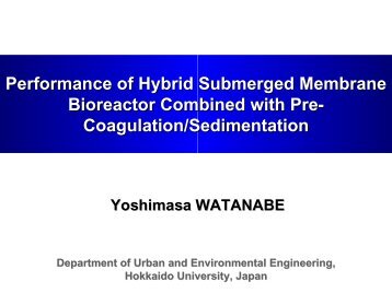 Membrane Bioreactor Combined with Precoagulation/Sedimentation