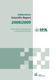 Addendum Scientific Report 2008/2009 - IPK Gatersleben