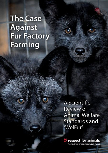 The Case Against Fur Factory Farming