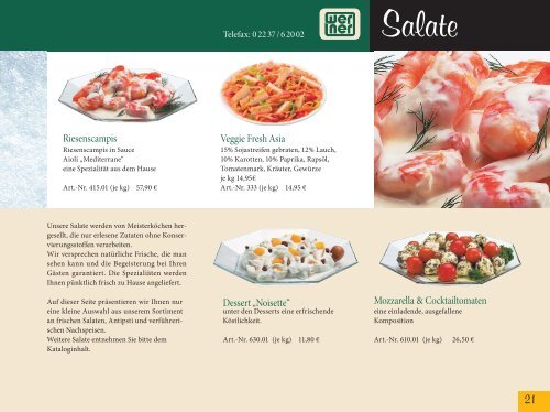 salmonhouse-werner_katalog