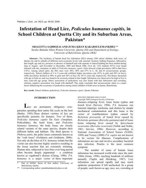 Infestation Of Head Lice Pediculus Humanus Capitis In School