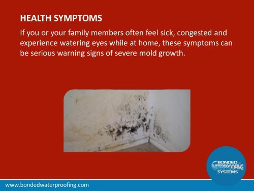 When to Call a Mold Remediation Service in New Jersey