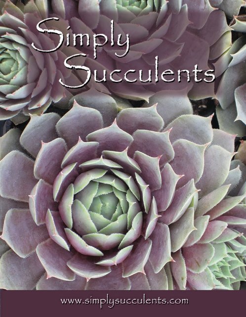 Simply Succulents 2015 Catalog
