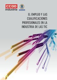 EL EMPLEO Y LAS CUALIFICACIONES PROFESIONALES EN LA INDUSTRIA DE LAS TIC