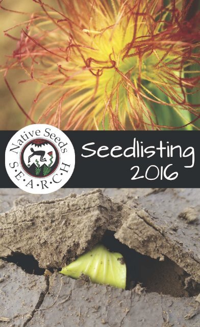 Seeds 2000 semillas Portulaca oleracea Verdolaga