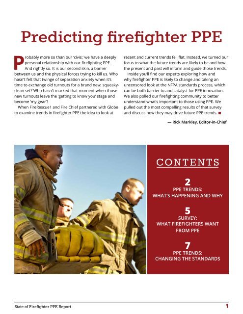 STATE OF FIREFIGHTER PPE REPORT
