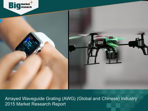 2015 Analysis of Arrayed Waveguide Grating (AWG) (Global and Chinese) Industry Chain 
