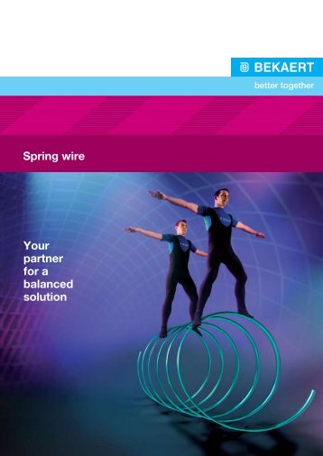 Spring wire Your partner for a balanced solution - Bekaert