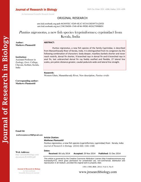 Puntius nigronotus, a new fish species (cypriniformes; cyprinidae) from Kerala, India