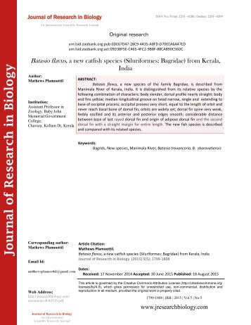 Batasio flavus, a new catfish species (Siluriformes- Bagridae) from Kerala, India