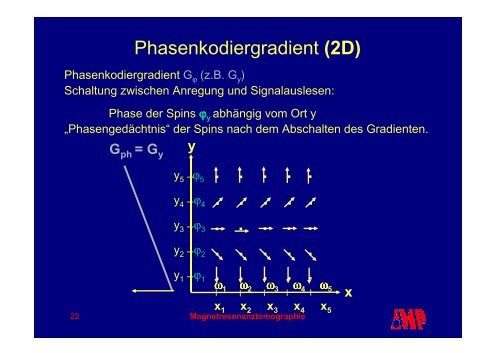 PowerPoint - MR Imaging - Instituts für Medizinische Physik