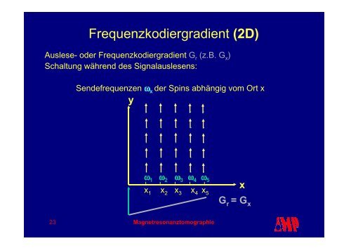 PowerPoint - MR Imaging - Instituts für Medizinische Physik