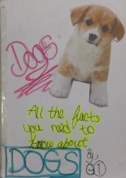 3B booklet - Dogs