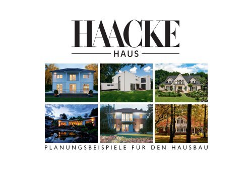 Haacke_demo