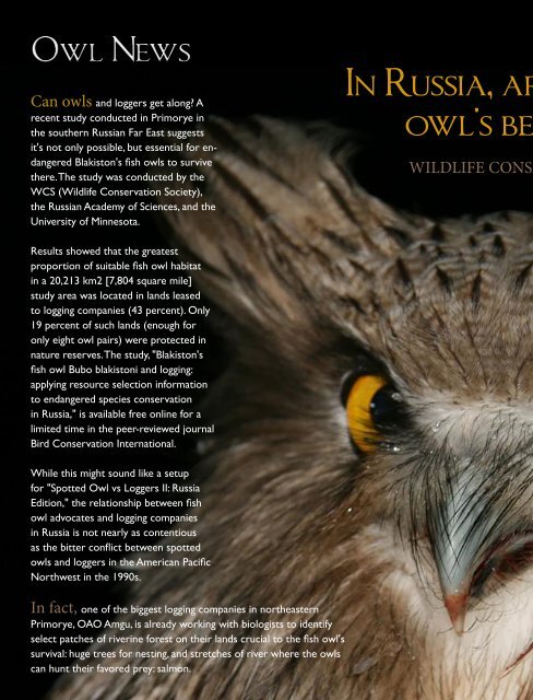 owl_eye_online_int