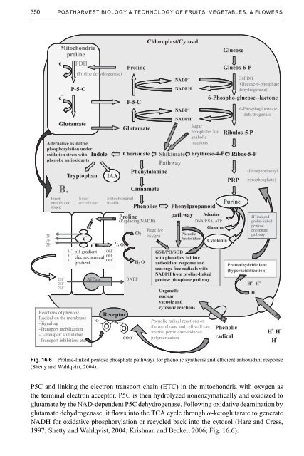 Postharvest Biology and Technology of Fruits, Vegetables, and Flowers