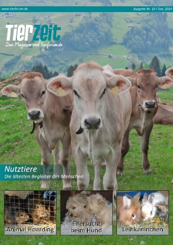 TierZeit - Ausgabe 10