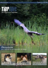 TierZeit - Ausgabe 9