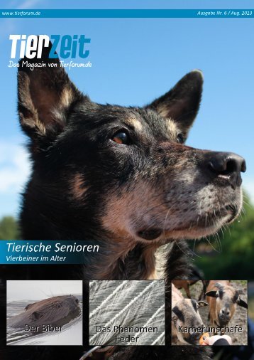 TierZeit - Ausgabe 6