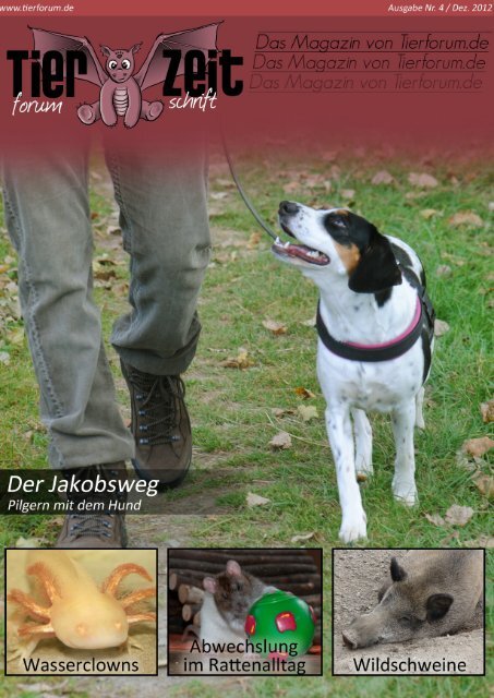 TierZeit - Ausgabe 4