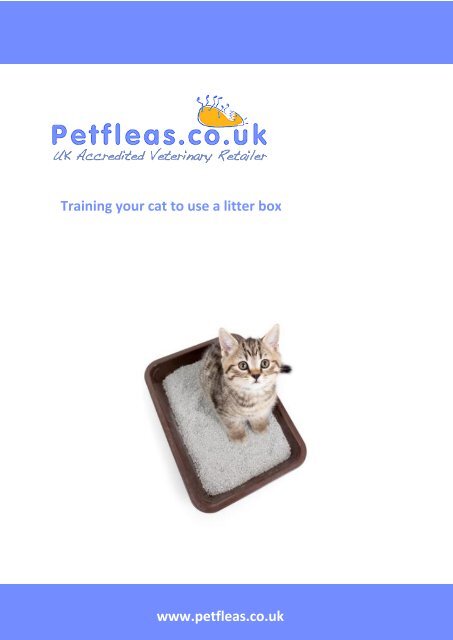 How to train your cat to use the litter tray hotsell