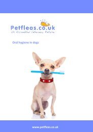 Oral Hygiene for Dogs