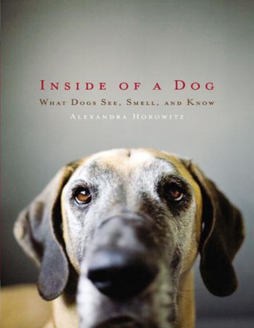 https://img.yumpu.com/54871697/1/500x640/inside-of-a-dog-alexandra-horowitz.jpg