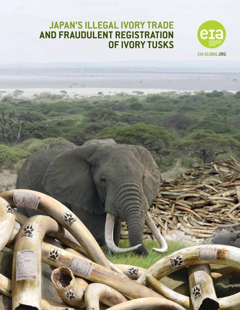 Japan’s Illegal Ivory Trade and Fraudulent Registration of Ivory Tusks