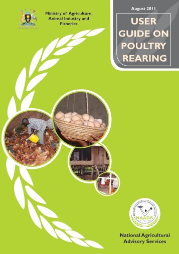 POULTRY REARING