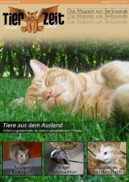 TierZeit - Ausgabe 3