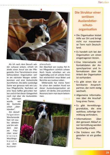 TierZeit - Ausgabe 3