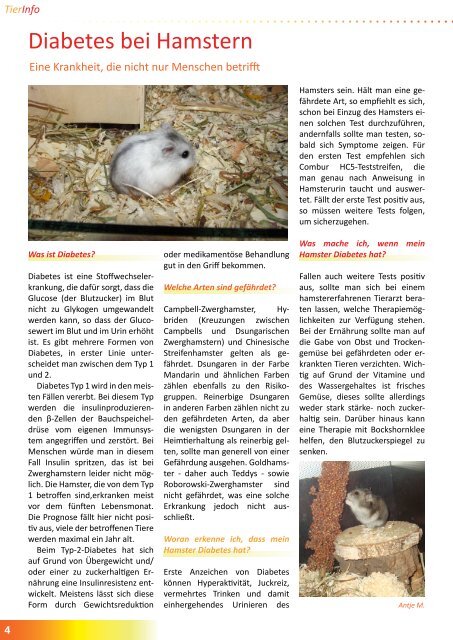 TierZeit - Ausgabe 3