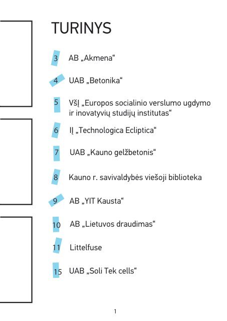 praktikos TAU_gruodis