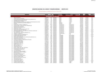 REGISTRO NACIONAL DE LA MICRO Y PEQUEÑA EMPRESA ...