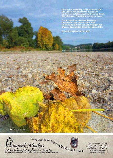 'sGÖTZmagazin - Herbst 2015