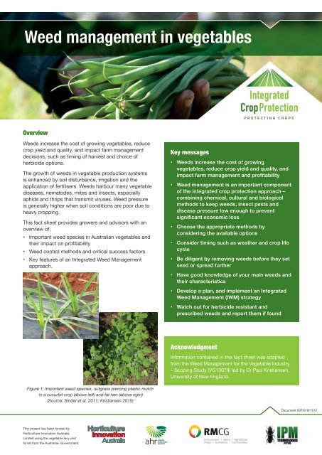 Diseases Of Vegetable Crops And Their Integrated ...