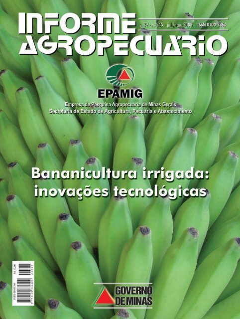 Banana - Bom Princípio Alimentos