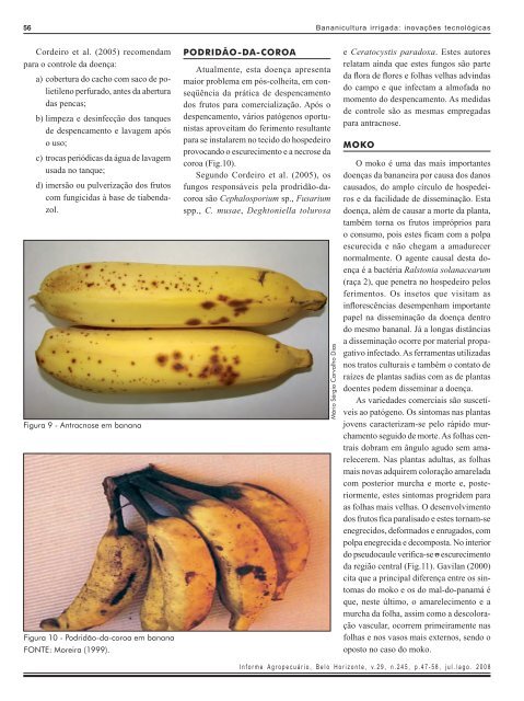 banana economia