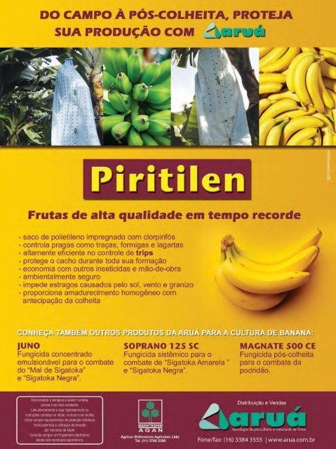 banana economia