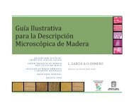 Guia ilustrativa para la descripcion microscopica de maderas