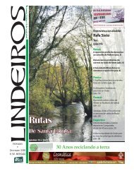 Lindeiros Noviembre Decembro 2015