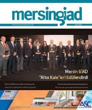 Mersingiad Nisan 2013