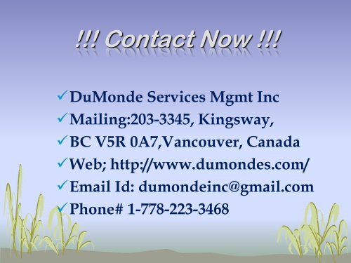 Vancouver Movers-DuMonde