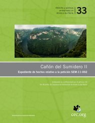 11635-sumidero-canyon-ii-factual-record-es