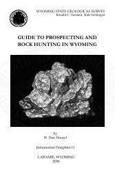 guide to prospecting and rock hunting in wyoming - Wyoming State ...