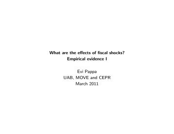 What are the effects of fiscal shocks? Empirical evidence I Evi ... - IDEA